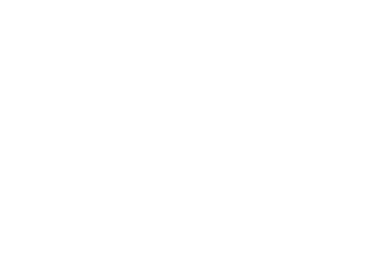 Elize Fourie-Hendry, Family Law Attorney
